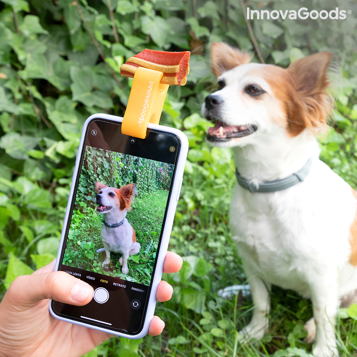 Your PET Not Posing for your Photos or Videos ?  We have a Selfie Clip for him to pose but be careful they might take their treat before you take your Pic!!!!