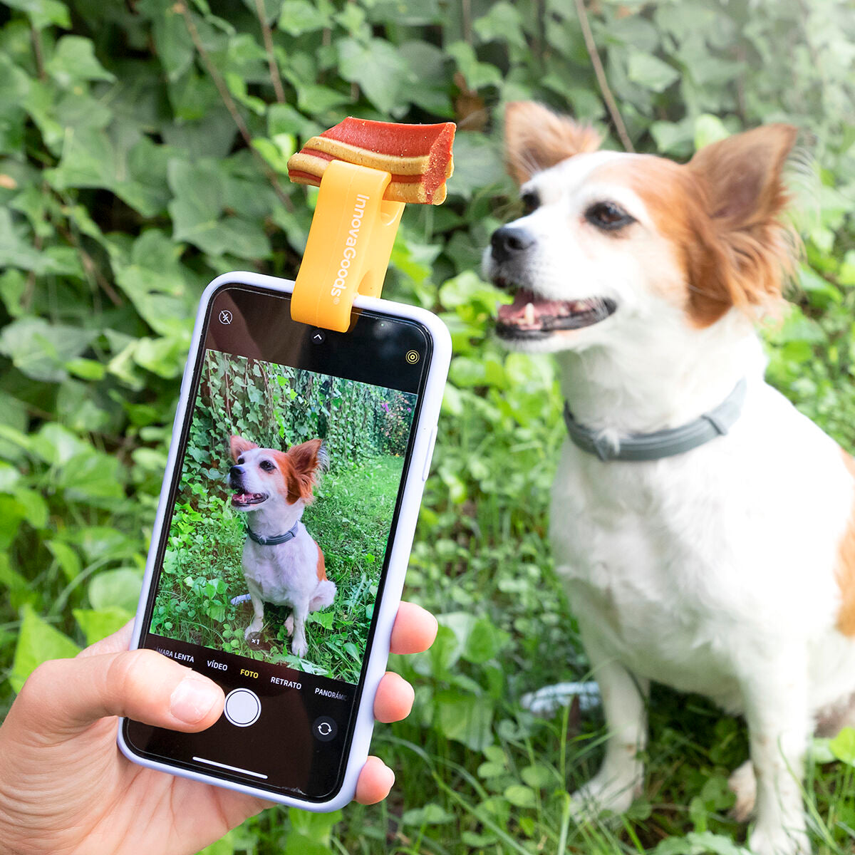 Your PET Not Posing for your Photos or Videos ?  We have a Selfie Clip for him to pose but be careful they might take their treat before you take your Pic!!!!